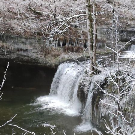 Grimont Gite Au Calme Grand Terrain Circuit Cascades Du Herisson Saugeot Eksteriør billede